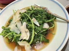 -绿波廊(豫园店)