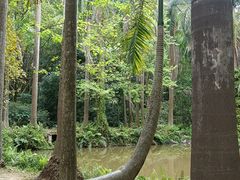 -滴水岩森林公园