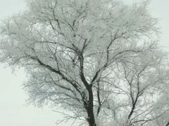 -雾凇岛