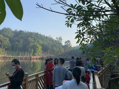 -神光山国家森林公园