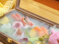 -松临·铁板烧&Omakase(神农店)