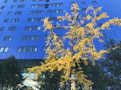 -清华大学-停车场