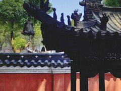 -江西龙虎山景区