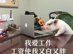 -蓉城西二道无名冒菜(西二道街店)