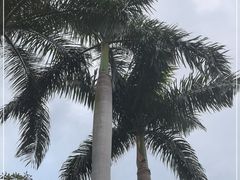 -广州市白云山风景名胜区
