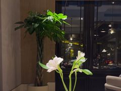 -杭州西湖柳莺里酒店·闻莺厅