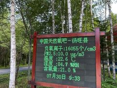 -汤旺河林海奇石景区