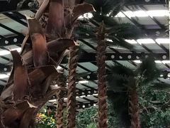 -南宫温泉水世界