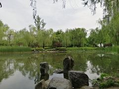 -木塔寺遗址生态公园