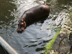 -海南热带野生动植物园