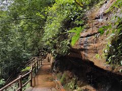 -赤水丹霞旅游区·佛光岩