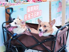 -IPARK购物中心