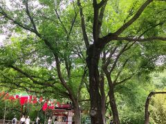 -千佛山风景名胜区