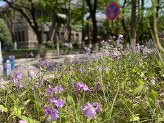 -山东大学(趵突泉校区)