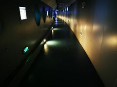 -白鹤梁水下博物馆