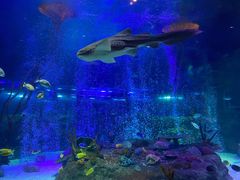 -沈阳海洋探索中心