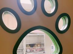 -瑞鹏宠物医院