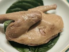 -子福慧(虹桥店)