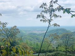-凤栖山