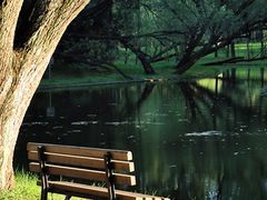 -上海共青森林公园