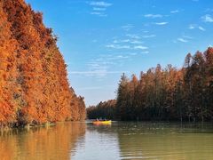 -上海海湾国家森林公园