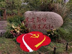 -昆山城市生态森林公园