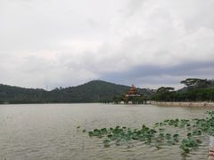 -顺峰山公园