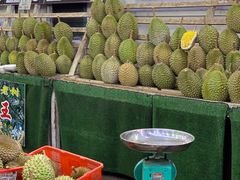 -Ah Hung D24 Sultan Durian