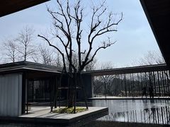 -木守西溪溪隐餐厅