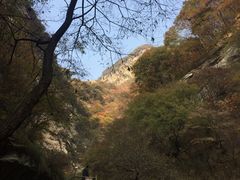 -少华山国家森林公园