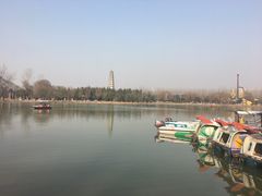 -祥源·阜阳生态乐园