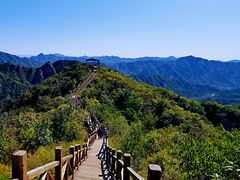-大岭沟猕猴桃谷风景区