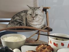 -牛庄高晓山风味馅饼城(海城店)