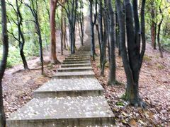 -火炉山森林公园