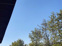 -宝荣鱼馆·临湖之宴(千岛湖店)