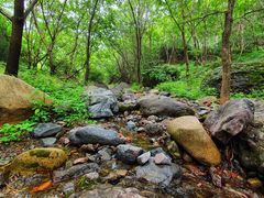 -云岫谷自然风景区