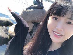 -美人鱼
