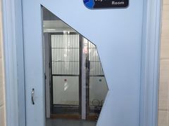 -芭比堂动物医院·心脏专科·夜诊·吉雅分院