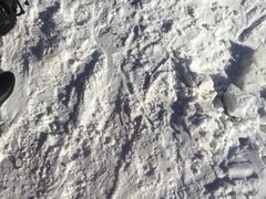 -蓟县盘山滑雪场
