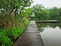 -西溪国家湿地公园