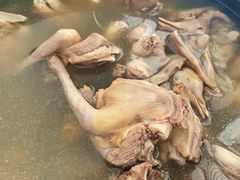 鸽子火锅-皇鸽餐厅(龙塘店)