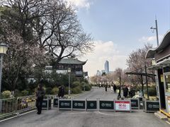 -月湖风景区