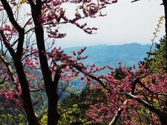 -天姥山