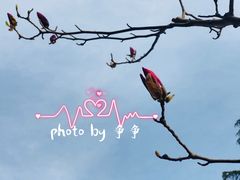 -锡师附小学(学前街校区)
