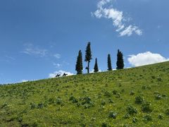-新疆那拉提国家旅游度假区