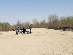 -东郊湿地公园