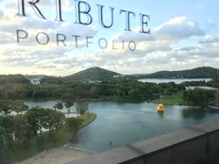 -佘山世茂艾美·御珍轩中餐厅
