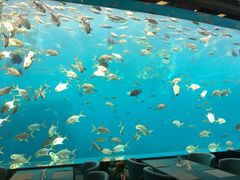-瑞德姆美人鱼海底演艺主题餐厅(亚龙湾店)