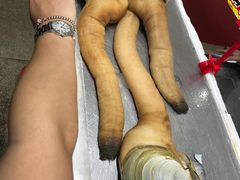 -蚝专家(北滘店)