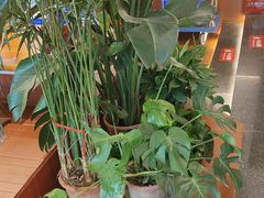 -客临百思德·东北特色馆(龙湖时代天街店)